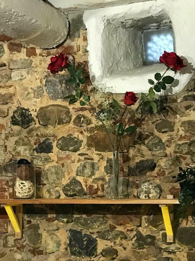 Le Rose Casa Della Ciri Lägenhet Florens Exteriör bild